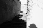 Svetlana Guzeeva : Перекличка 