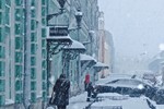 Елена Жукова : метель в городе 