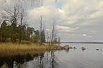 Елена Жукова : унылая пора 