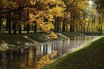 Елена Жукова : осень в Царском Селе 