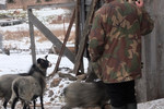 Анна Русскова : Деревня. 