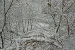 Olga Zhloba : Belarusian Winter 