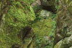 Галина Король : Дантово ущелье 