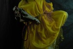 Елизавета Саввина : в поисках истины в огне 