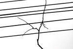 Илья Михайлов : Адаптация (v.4) 
