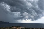 Виолетта Сорокина : Неизбежность в серых тонах 