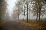 Борис Баринов : Дорога в осень 