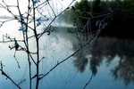 Яков Реймер : вода 