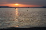 Галина Король : Черное море 