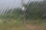 Галина Король : Дождь в пути 