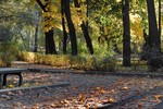 Phedor Phedorov : Осень 