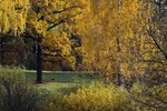 Phedor Phedorov : Осень 