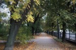 Елена Амосова : Осень в городе. 