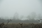 Anna Rostovtseva : Suzdal Kremlin in fog 