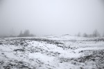 Anna Rostovtseva : Зимний пейзаж 