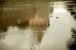 Anna Rostovtseva : Смоленский кремль 