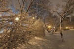 Алексей Новиков : Без названия 