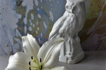 Galina Romanov : *** 
