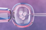 Rio Smith : How Much is IVF Treatment Price in Dubai? 