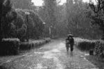 Alexander S : raining 