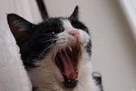 Антон Русаков : arrr 