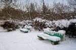Сергей Golos : Зимний сон 