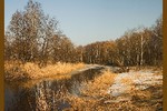 Татьяна Игнатьева : Весна, весна! Как воздух чист! Как ясен небосклон! 
