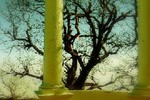 Дарья А. : серебряная беседка 