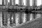 Сергей Политковский : Морской бриз 
