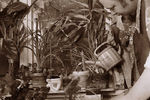 Van О : Marcel Duchamp's school 