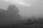 Perfect Stranger : utro... 
