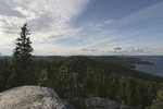 Svetlana Kylmäsuu : The Place I Love 
