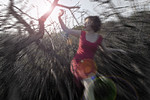 Maxim Tereshchenko : Forest trip 