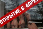 Виктор Владимирович Вавилов :  