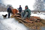 Владимир Осинцев : Каникулы в Простоквашино 