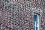 София Козловская : Windows 