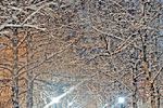 Владимир Осинцев : Первый снег, первая любовь. 