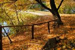 Ашатан  : Золотоосенняя 