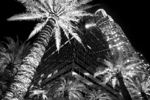 Boris Kuperschmidt : Los Angeles 302 