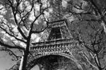 Boris Kuperschmidt : Paris 207 