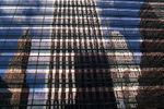George Butikashvili : Reflection 