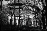 Валерия Паули : Light&amp;Darkness (свет и тьма) 