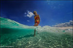 Dmitry Vinogradov : Move 