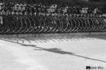Zoya Shulga : Bycicles 