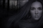 Margo Dav : Twilight 