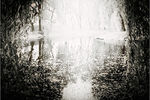 Arthur Gaganovich : [ Old Pond ] 