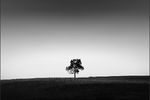 Arthur Gaganovich : [ T ] 