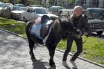 Ольга Бородина : Ну давай,давай,шевели копытами! 