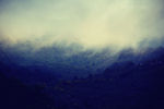 Julia Weeds : fog 