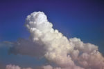 Julia Weeds : cloud 